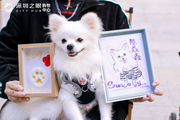 6390261853191969716085109 6390261853191969716085109