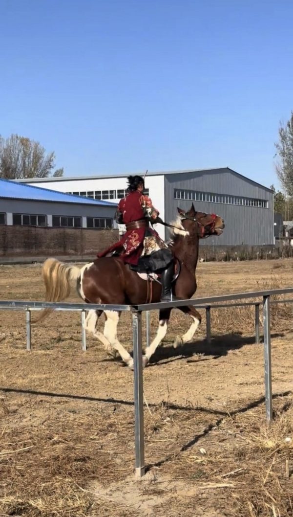 20260104112322637957623