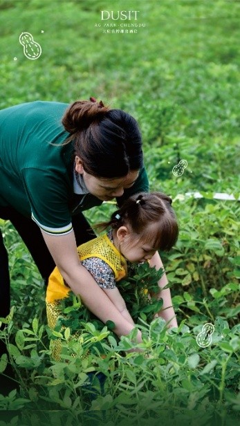 202601080947022094074510