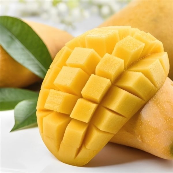 2026011615213622.005-1