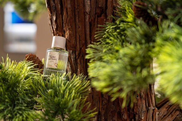 2026012116214641689243