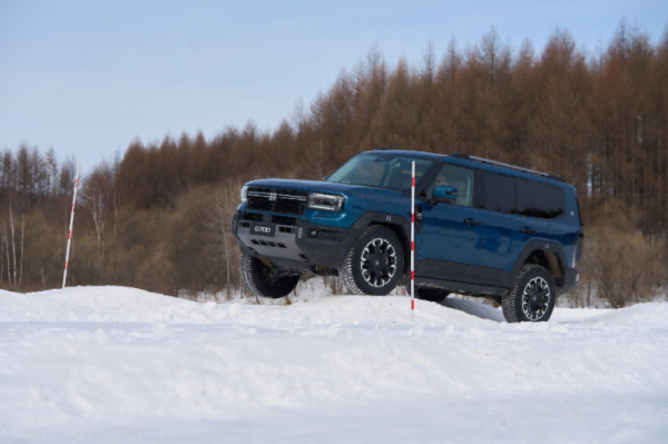 202601281951031765184559 202601281951031765184559