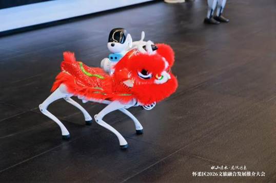 205dc733726a8deaa539350ebcaf3f1e