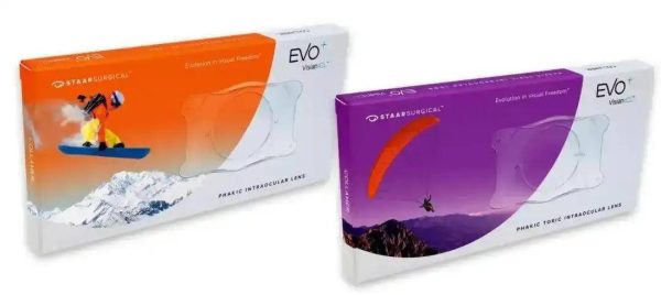 8688edb436394a22b1315cf661235cd9-1