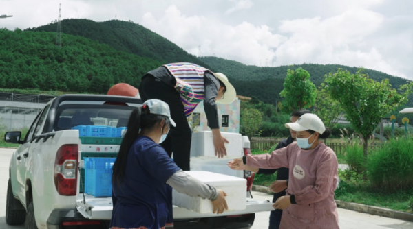 DaRQDR23SmbRaVooHVqe2eV4I9gqlBfACwjtL30D