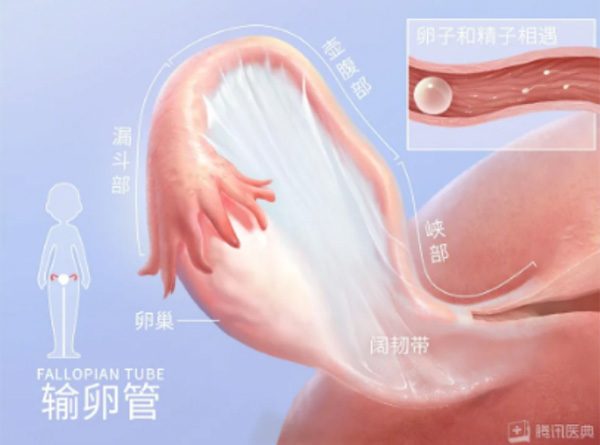 c84f3056f98e7afda27dd5af0060e936