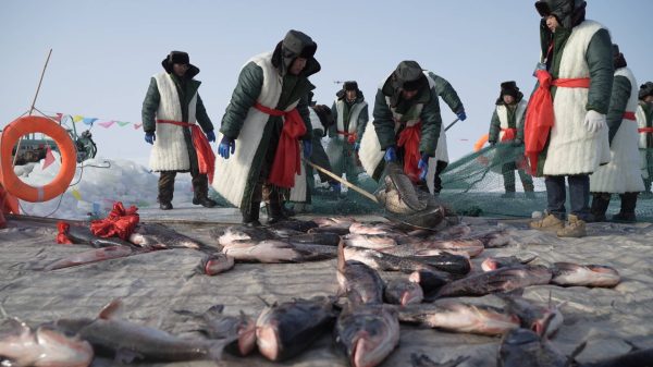 f692f14c5fe14cd9a64225816cbf4c4f