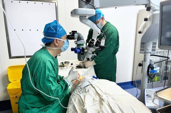 fa7a004ff392486886989bb57a2230bd-1