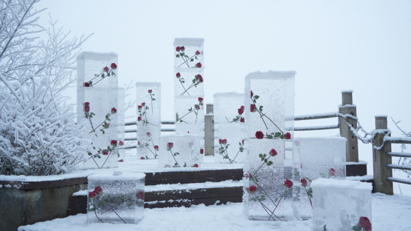 fcd9c5899f0865d9ee22638aaee5900e-1 fcd9c5899f0865d9ee22638aaee5900e-1