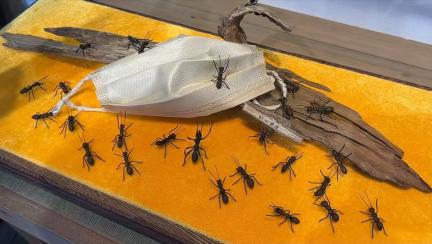 06cffd22c20a52ccf8a79706580ba8f9