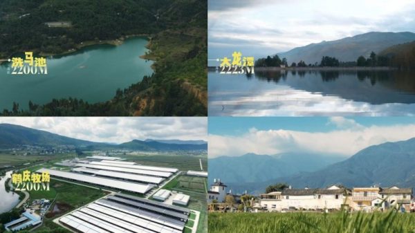 202602051333011668779447-2