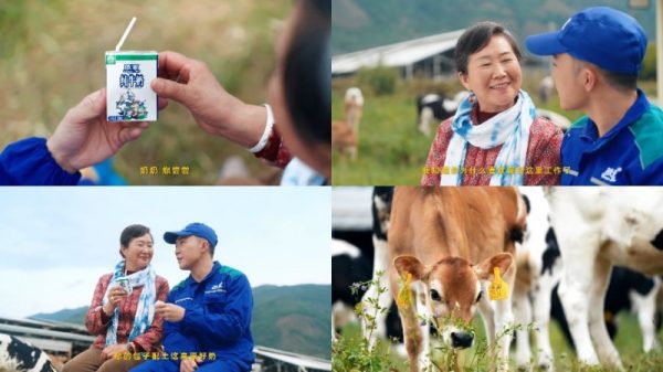 20260205133302683408316-2