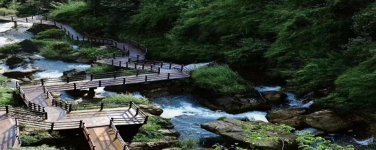 2026020516155962.002