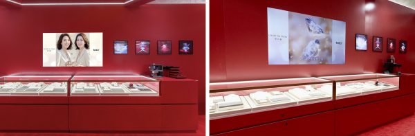 20260209113027995678013