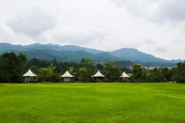 2026021010194226.005