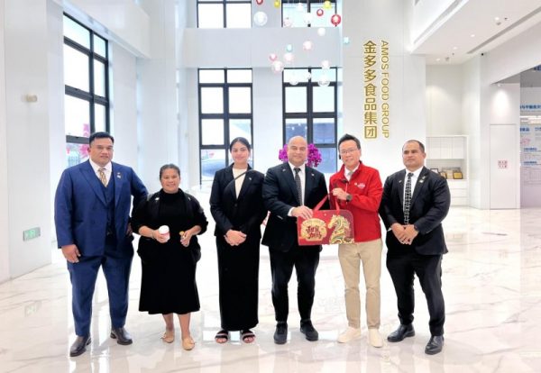 202602121319081409986379-2