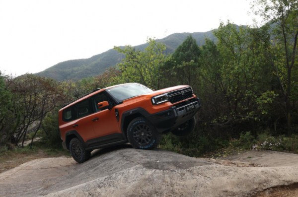 202602161211531735039984-1 202602161211531735039984-1