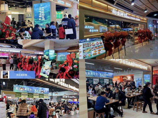 五店联动启新程 向云涧云南罐罐米线 深耕全国滇味市场