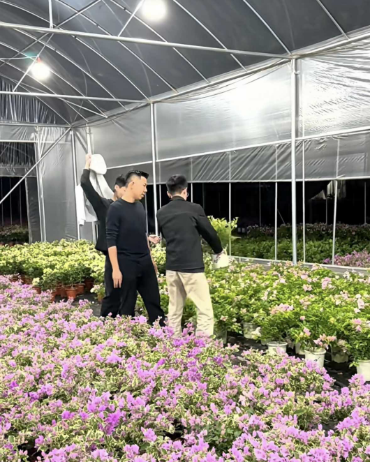 8cf93b6749a9fa9dd60206954311d986