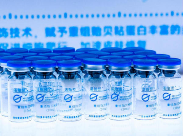 ae06d0966873358322b123559dc7fe93