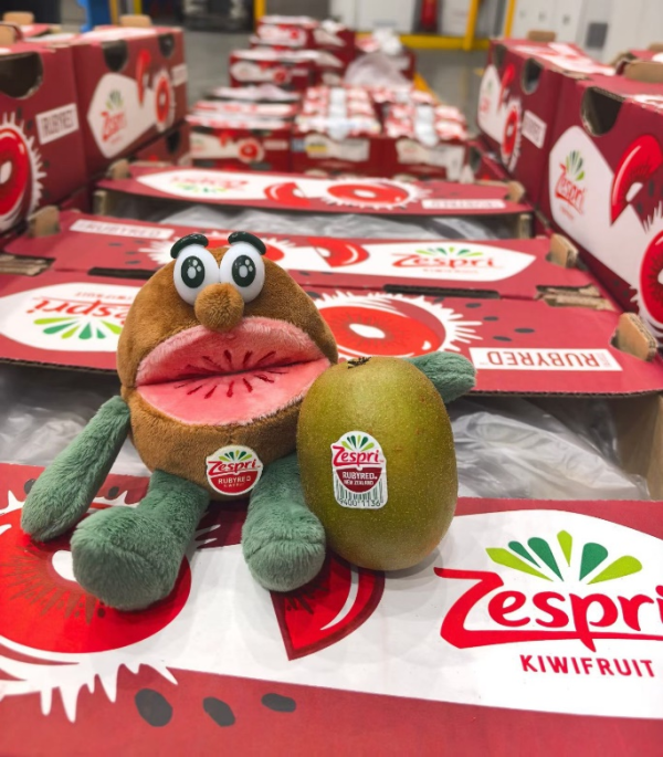 202603021505401947938471 202603021505401947938471