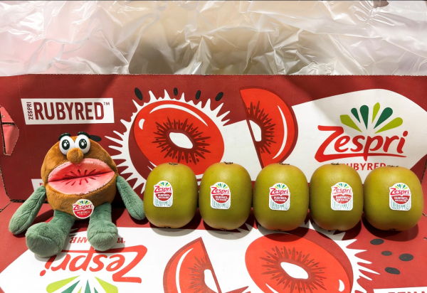 202603021505561495192427 202603021505561495192427