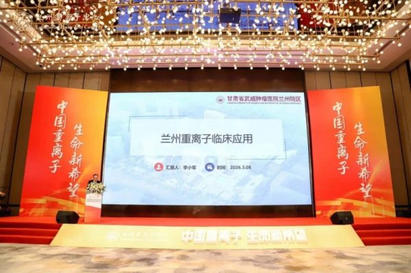 2026030816413780421309