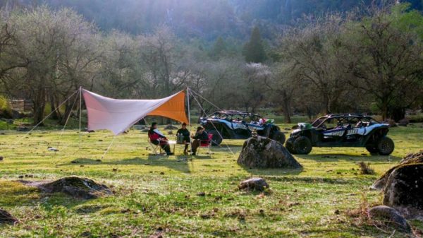 20260317155623896043503