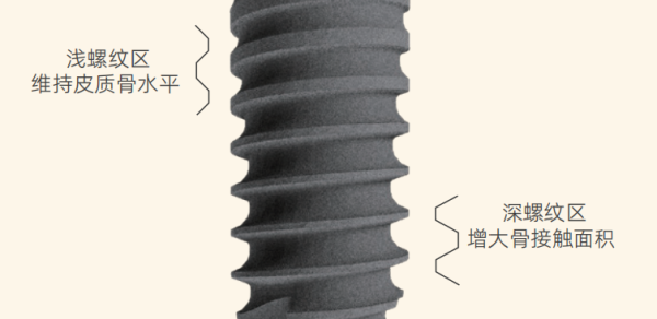 20260318170340_847531773824620