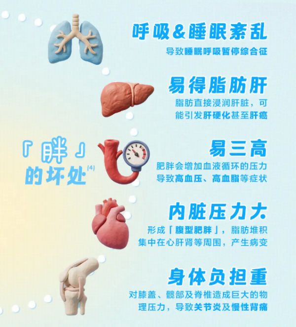 20260323112115412702288