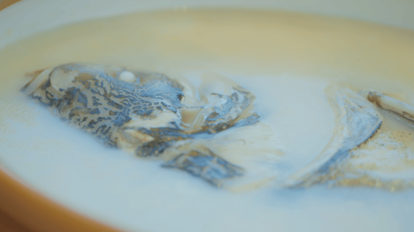 2fd4e60f7f8c4f089e177fe016be794d