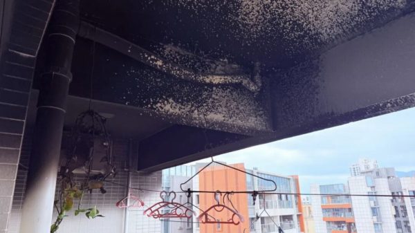 3da3cc50-eefa-4145-813b-f12f66c90834