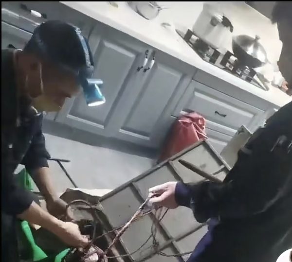 5416871a4b213af73950ebb02d58da3a-1