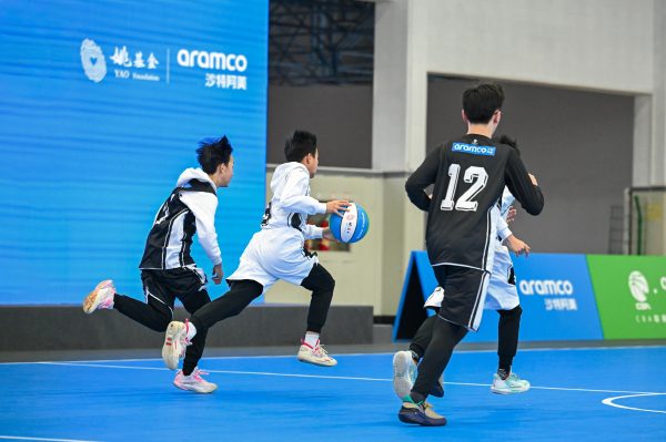 6390858392715438698889233