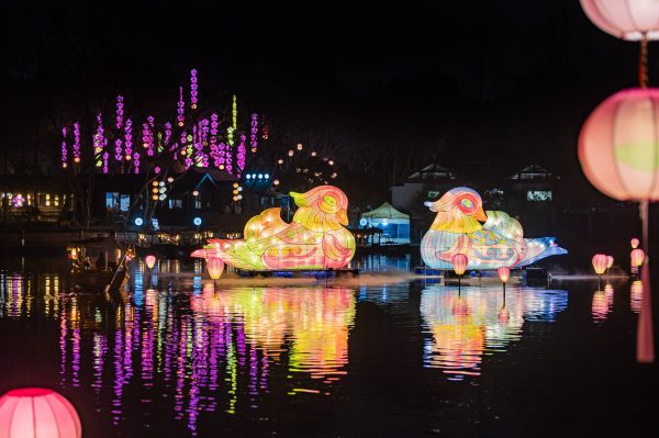 63f716f80646471483e573bf6c05acfc