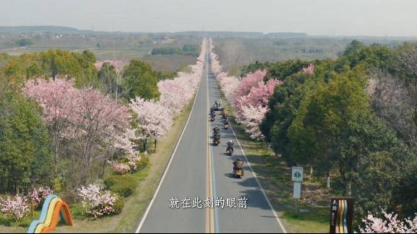 7b842b92010b41ffa50688c4eb62bb0e