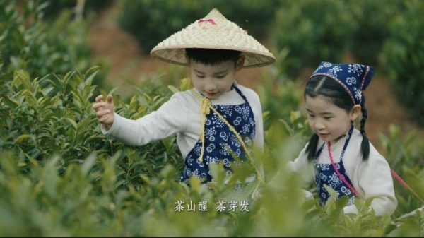 859874f196fa4e149a36dda44d4e788a