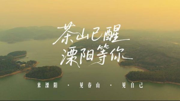 91551698fc1542eb8b4bd57983f7b2eb