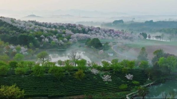 a80ee1fbd7b64510893d2f053bc7311e