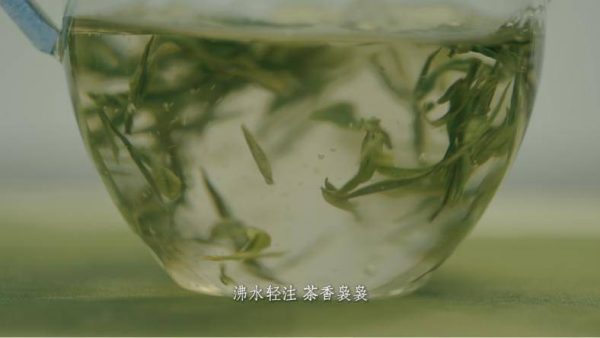 c355b32cc71c490cb4fefe3a890fa10c