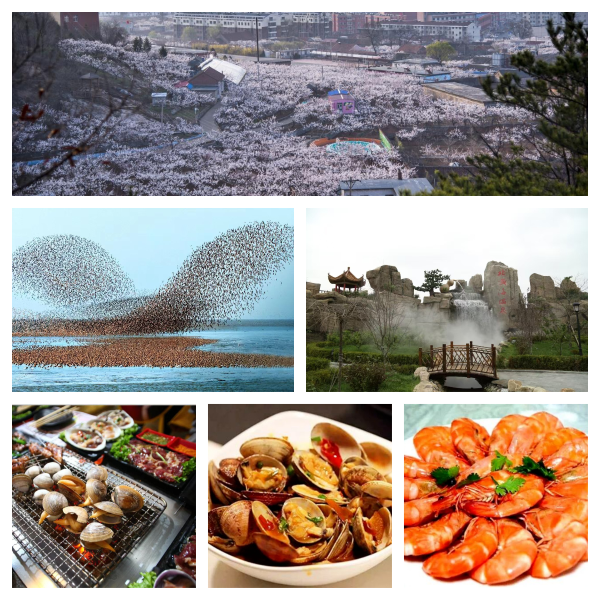 c56189b68bd78bcf19f0102cc136231c c56189b68bd78bcf19f0102cc136231c