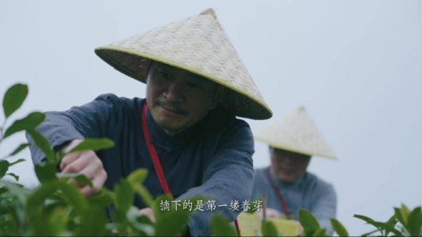 ee38502793ce4bb6afc77b83b5b0a3d0