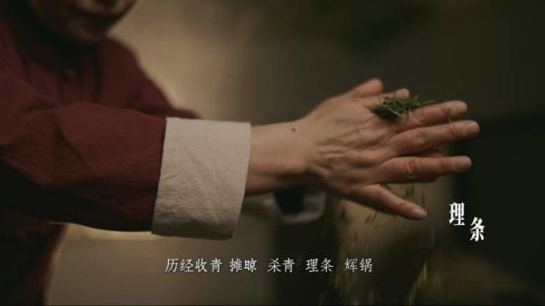 f05ce5c9d982494ab79eb1be461196a2