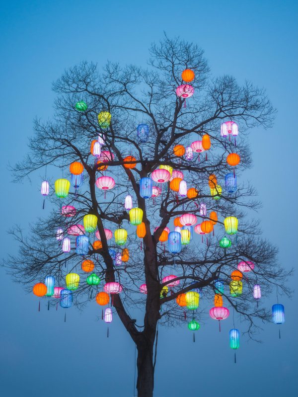 f8e8ecc96d274893a6589bb7b997cbe0