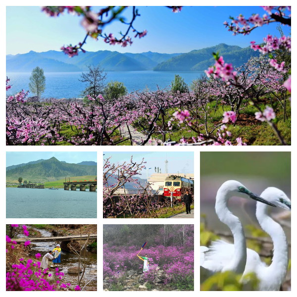 fc8bbc83f5485de6e58b7cdddb937733 fc8bbc83f5485de6e58b7cdddb937733