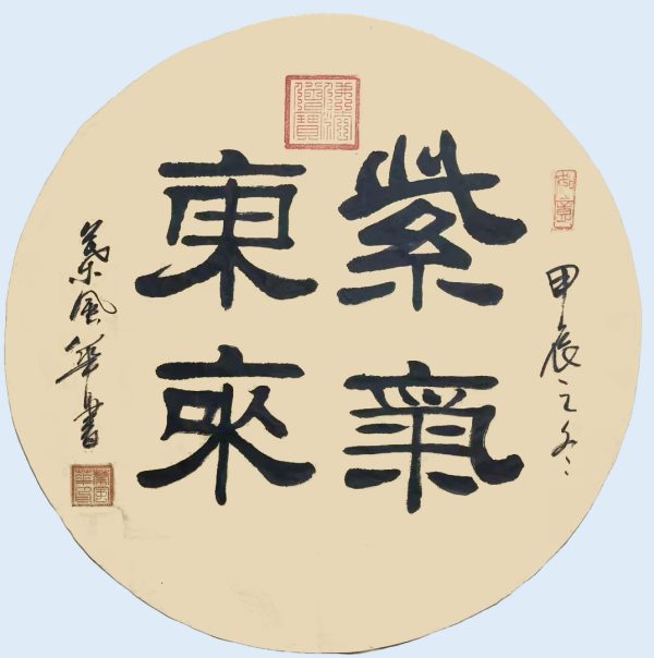 fe034f11a07fff06e77c73a49521c5ce