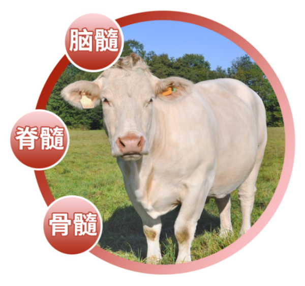 image3_sm-29 image3_sm-29