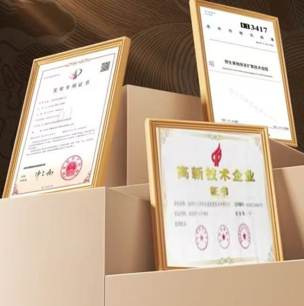 2026040400301202560.005 2026040400301202560.005