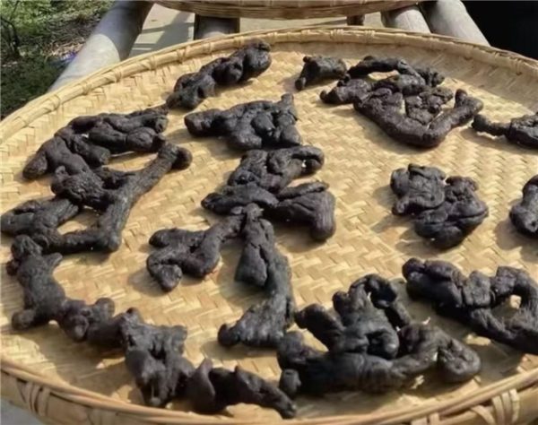 2026040400301202560.009 2026040400301202560.009