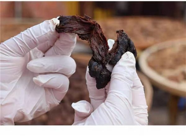 2026040400301202560.010 2026040400301202560.010